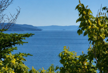 0 DEEP BIGHT ROAD, DEEP BIGHT, Newfoundland, Canada A0E 2B0, ,0,Land,For Sale,DEEP BIGHT ROAD,6334 0 DEEP BIGHT ROAD, DEEP BIGHT, Newfoundland, Canada A0E 2B0, ,0,Land,For Sale,DEEP BIGHT ROAD,6334