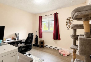 11 MUNICIPAL SQUARE, CLARENVILLE, Newfoundland, Canada A5A 1T4, ,2 BathroomsBathrooms,Residential,For Sale,MUNICIPAL SQUARE,6337