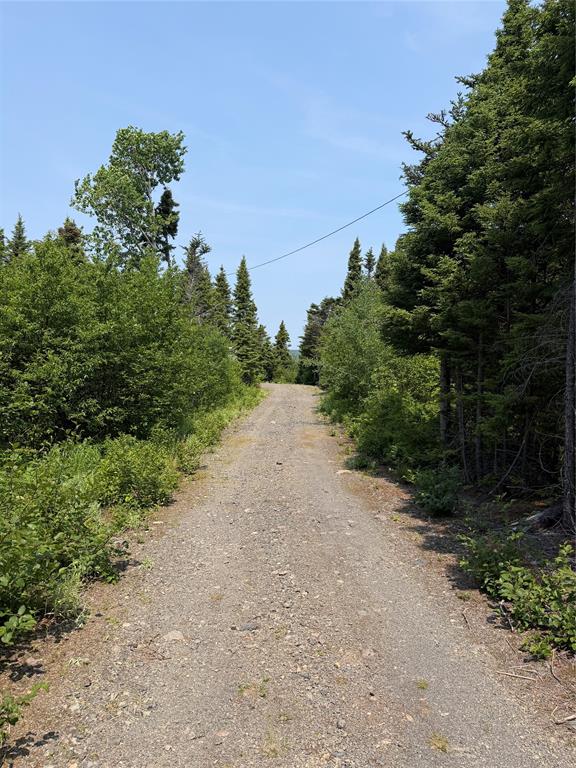 LOT 7, WINTERBROOK, Newfoundland, Canada A0C1V0, ,0,Land,For Sale,6338