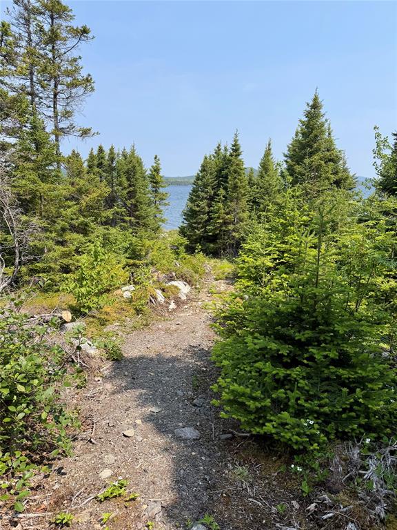 LOT 7, WINTERBROOK, Newfoundland, Canada A0C1V0, ,0,Land,For Sale,6338