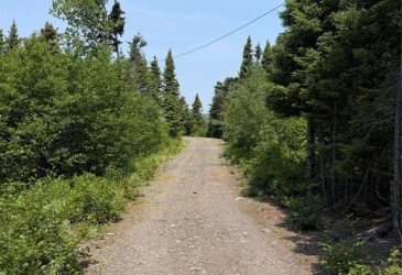 LOT 7, WINTERBROOK, Newfoundland, Canada A0C1V0, ,0,Land,For Sale,6338
