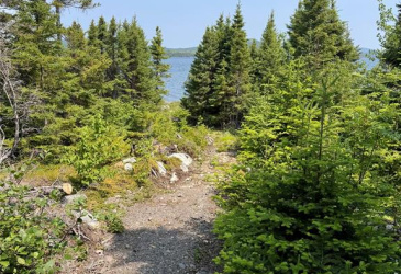 LOT 7, WINTERBROOK, Newfoundland, Canada A0C1V0, ,0,Land,For Sale,6338