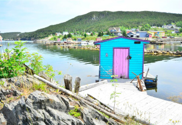28A TORY ROAD, NEW PERLICAN, Newfoundland, Canada A0B 2S0, ,2 BathroomsBathrooms,Residential,For Sale,TORY ROAD,6342 28A TORY ROAD, NEW PERLICAN, Newfoundland, Canada A0B 2S0, ,2 BathroomsBathrooms,Residential,For Sale,TORY ROAD,6342