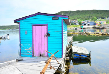 28A TORY ROAD, NEW PERLICAN, Newfoundland, Canada A0B 2S0, ,2 BathroomsBathrooms,Residential,For Sale,TORY ROAD,6342 28A TORY ROAD, NEW PERLICAN, Newfoundland, Canada A0B 2S0, ,2 BathroomsBathrooms,Residential,For Sale,TORY ROAD,6342