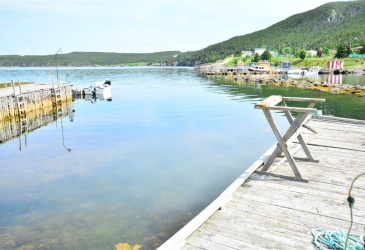 28A TORY ROAD, NEW PERLICAN, Newfoundland, Canada A0B 2S0, ,2 BathroomsBathrooms,Residential,For Sale,TORY ROAD,6342