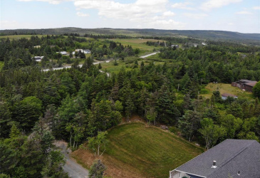 5 MERCERS ROAD, BAY ROBERTS, Newfoundland, Canada A0A 3V0, ,0,Residential,For Sale,MERCERS ROAD,6343
