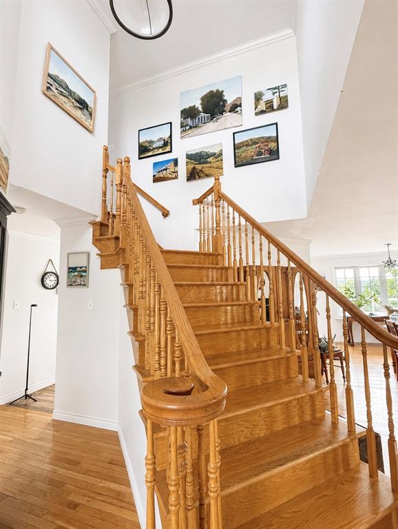 16 JEAN D'ARC PLACE, CLARENVILLE, Newfoundland, Canada A5A 1J4, ,3 BathroomsBathrooms,Residential,Sale Pending,JEAN D'ARC PLACE,6345