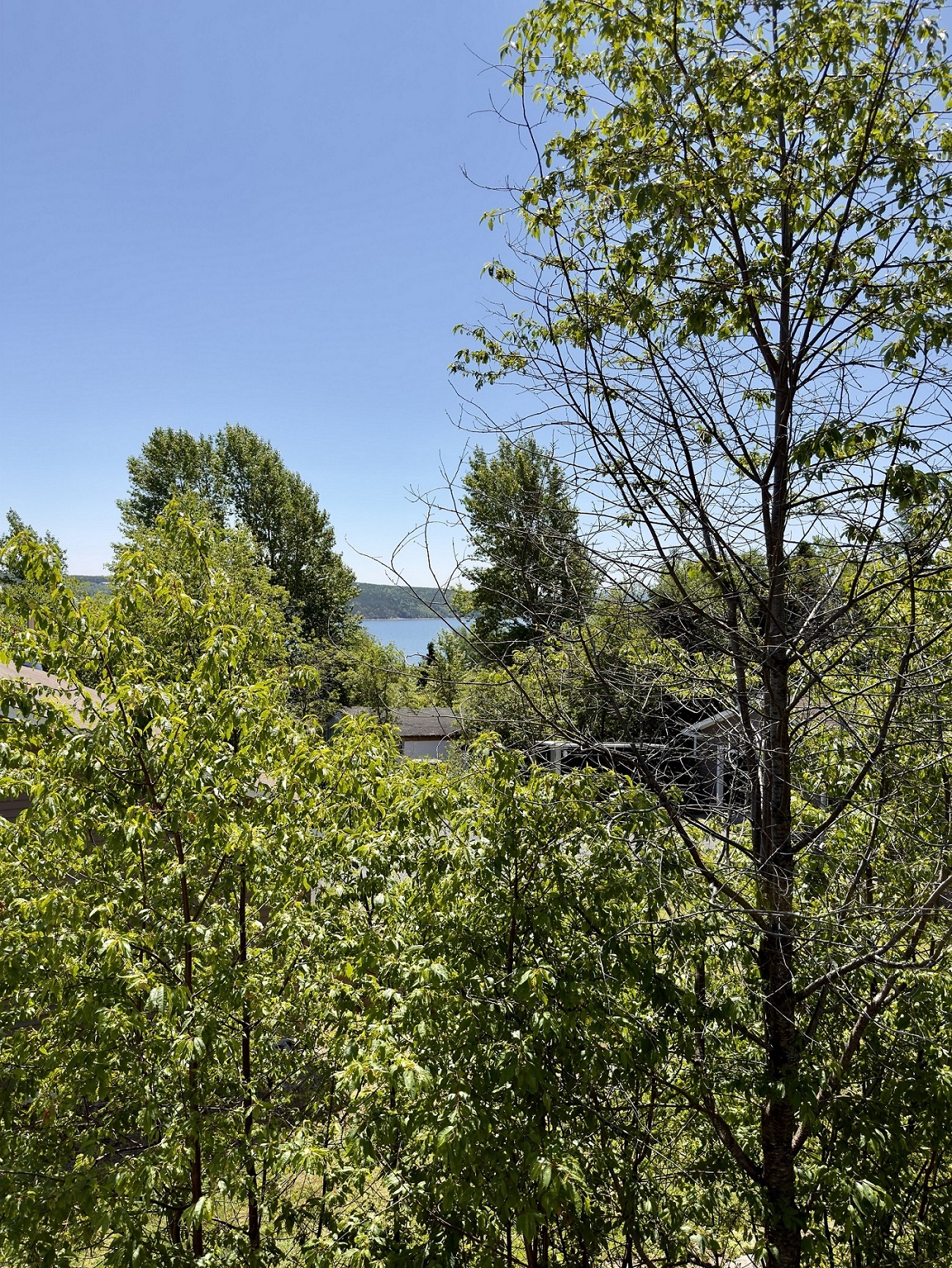 29 ADAMS PLACE, CLARENVILLE, Newfoundland, Canada A5A 4A1, ,2 BathroomsBathrooms,Residential,Sale Pending,ADAMS PLACE,6351