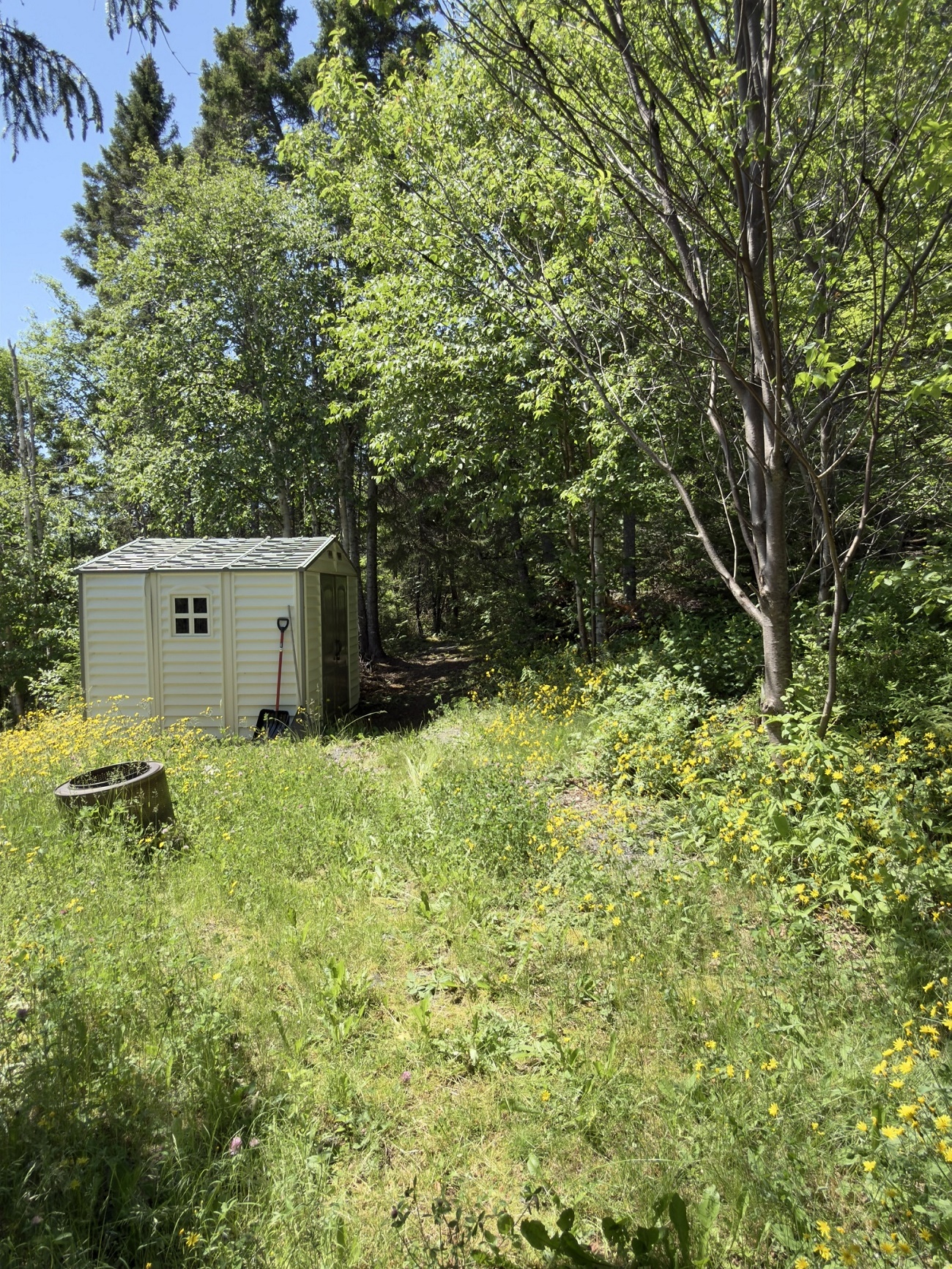 29 ADAMS PLACE, CLARENVILLE, Newfoundland, Canada A5A 4A1, ,2 BathroomsBathrooms,Residential,Sale Pending,ADAMS PLACE,6351