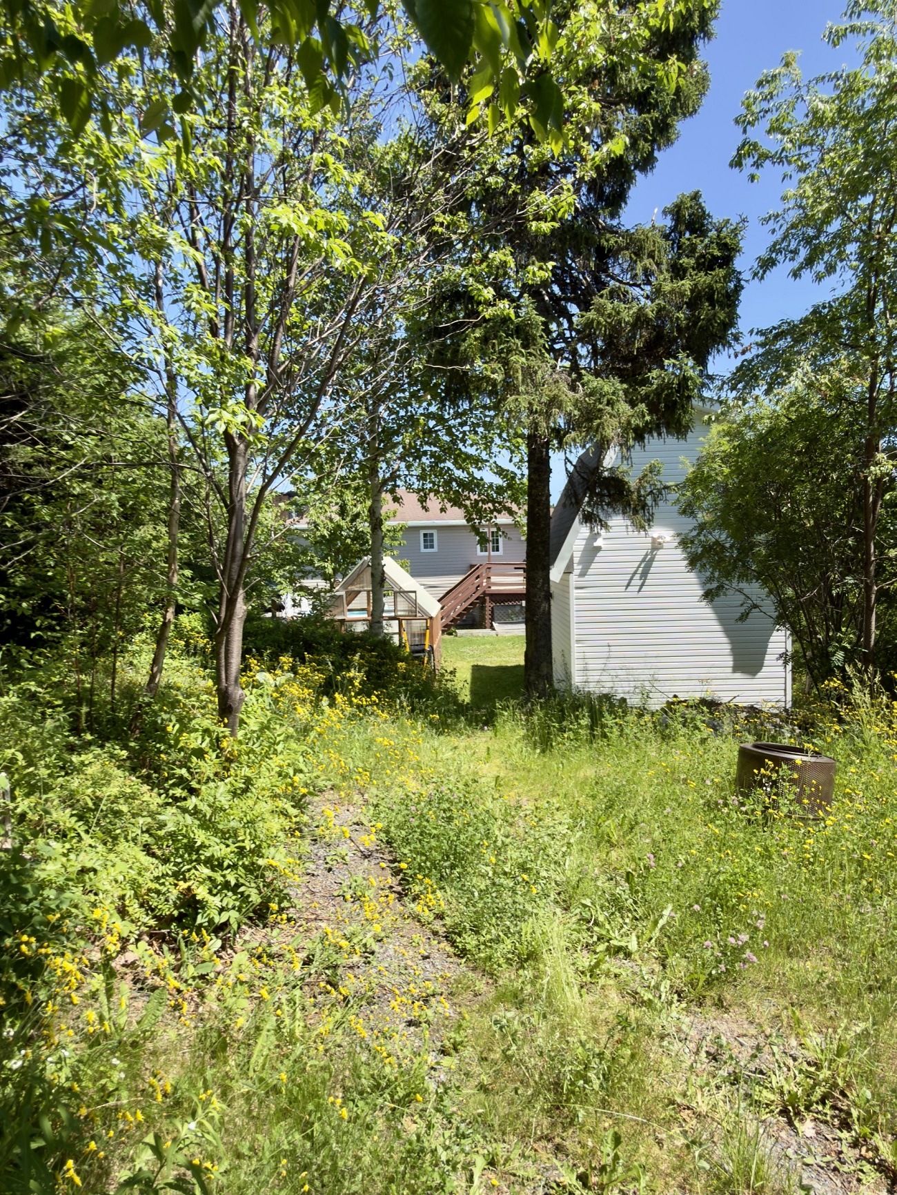 29 ADAMS PLACE, CLARENVILLE, Newfoundland, Canada A5A 4A1, ,2 BathroomsBathrooms,Residential,Sale Pending,ADAMS PLACE,6351