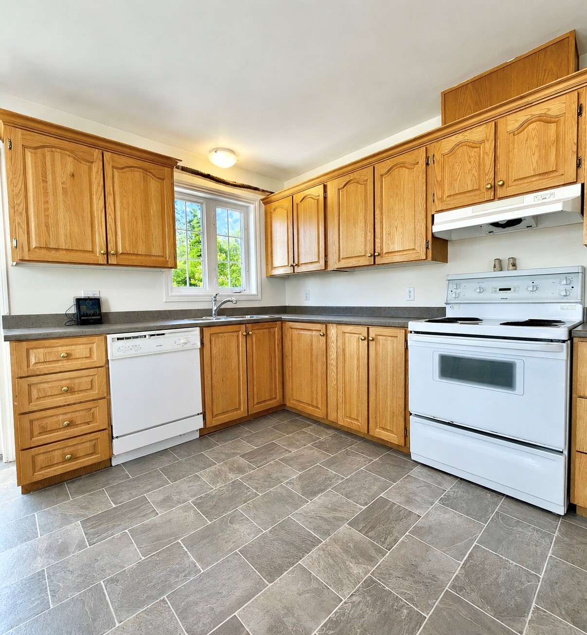 29 ADAMS PLACE, CLARENVILLE, Newfoundland, Canada A5A 4A1, ,2 BathroomsBathrooms,Residential,Sale Pending,ADAMS PLACE,6351