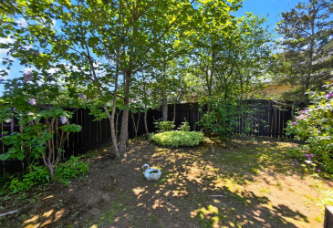 38 MAIN STREET, HICKMAN'S HARBOUR, Newfoundland, Canada A0C 1P0, ,1 BathroomBathrooms,Residential,For Sale,MAIN STREET,6355 38 MAIN STREET, HICKMAN'S HARBOUR, Newfoundland, Canada A0C 1P0, ,1 BathroomBathrooms,Residential,For Sale,MAIN STREET,6355