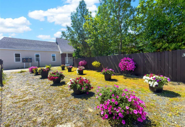 38 MAIN STREET, HICKMAN'S HARBOUR, Newfoundland, Canada A0C 1P0, ,1 BathroomBathrooms,Residential,For Sale,MAIN STREET,6355 38 MAIN STREET, HICKMAN'S HARBOUR, Newfoundland, Canada A0C 1P0, ,1 BathroomBathrooms,Residential,For Sale,MAIN STREET,6355