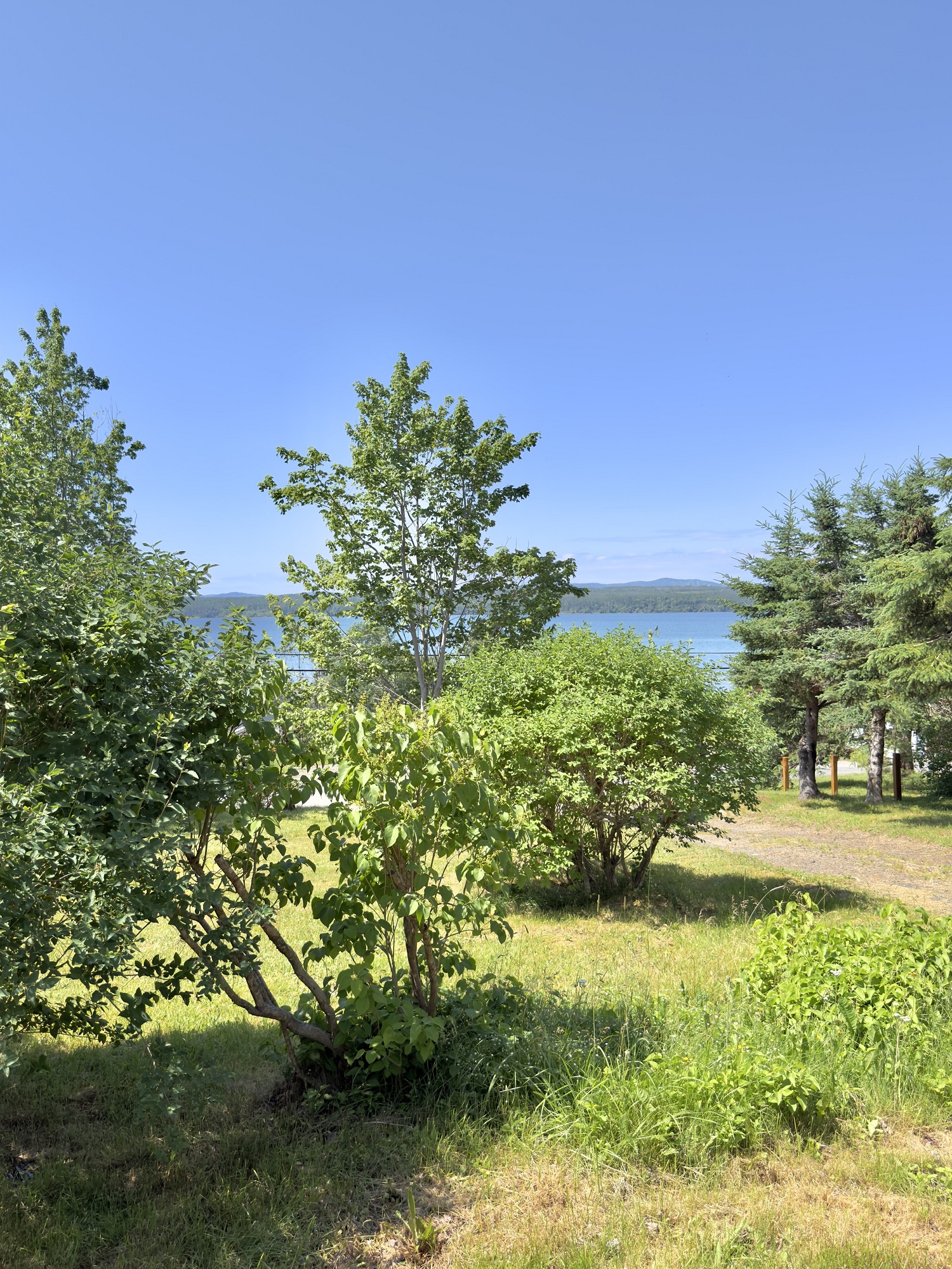 953 SMITH SOUND ROAD, HARCOURT, Newfoundland, Canada A5A 3A2, ,1 BathroomBathrooms,Residential,For Sale,SMITH SOUND ROAD,6360