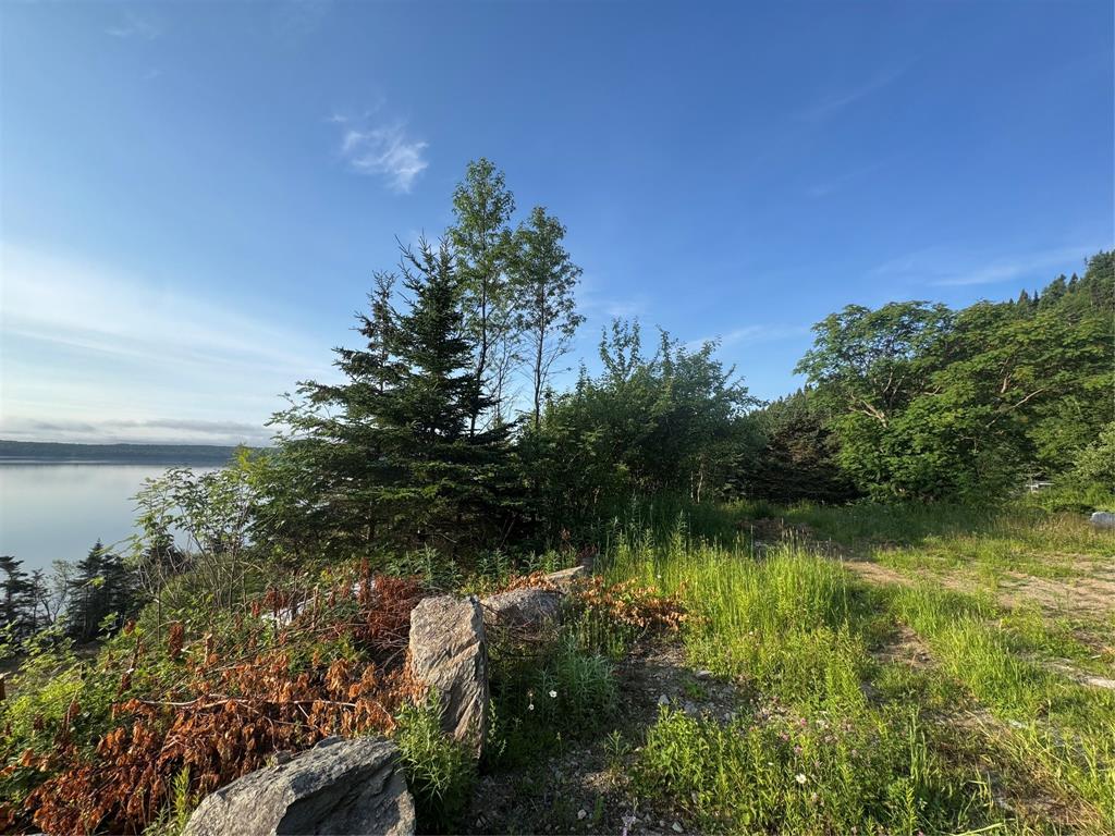 0 MAIN ROAD, CHARLOTTETOWN, Newfoundland, Canada A0C 1L0, ,0,Land,For Sale,MAIN ROAD,6367
