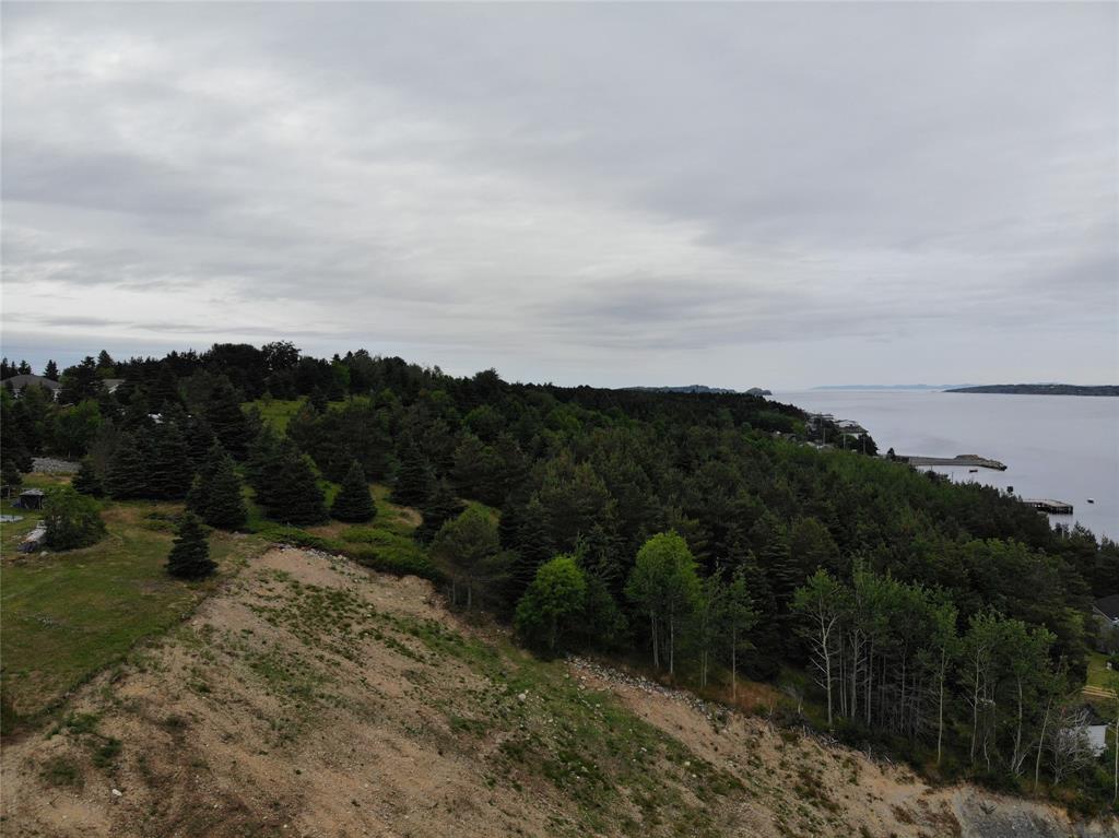 109 COLEYS POINT, SOUTH ROAD, BAY ROBERTS, Newfoundland, Canada A0A 1X0, ,0,Land,For Sale,COLEYS POINT, SOUTH ROAD,6368