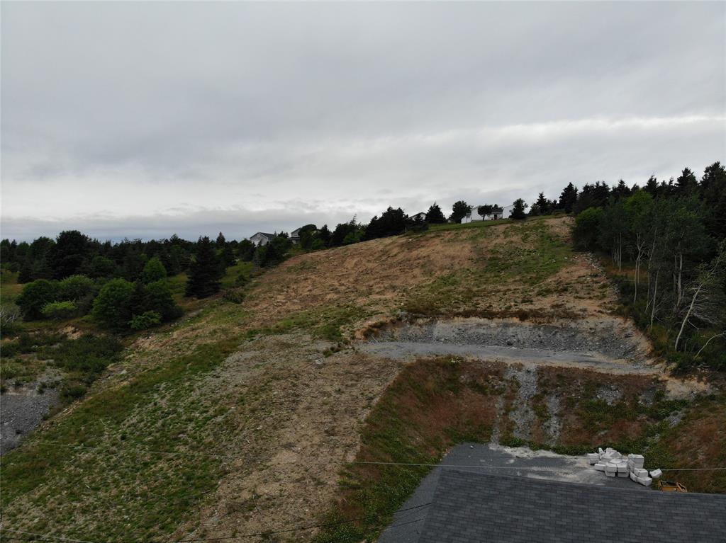 109 COLEYS POINT, SOUTH ROAD, BAY ROBERTS, Newfoundland, Canada A0A 1X0, ,0,Land,For Sale,COLEYS POINT, SOUTH ROAD,6368