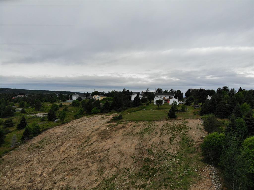 109 COLEYS POINT, SOUTH ROAD, BAY ROBERTS, Newfoundland, Canada A0A 1X0, ,0,Land,For Sale,COLEYS POINT, SOUTH ROAD,6368