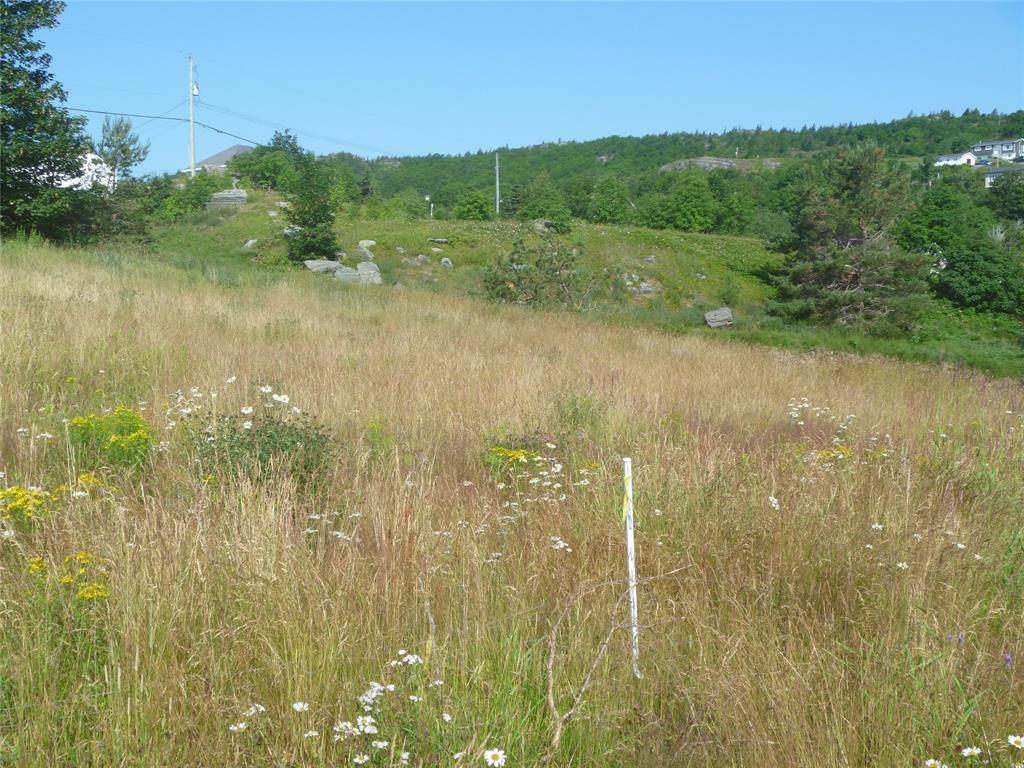 4 MEADOW ROAD, FRESHWATER, Newfoundland, Canada A1Y 1C6, ,1 BathroomBathrooms,Residential,For Sale,MEADOW ROAD,6370