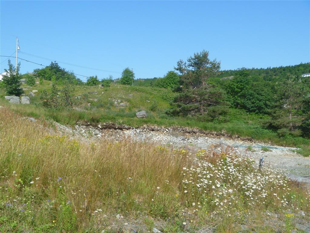 4 MEADOW ROAD, FRESHWATER, Newfoundland, Canada A1Y 1C6, ,1 BathroomBathrooms,Residential,For Sale,MEADOW ROAD,6370