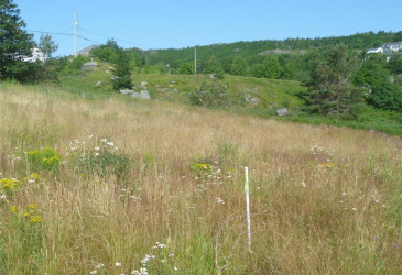 4 MEADOW ROAD, FRESHWATER, Newfoundland, Canada A1Y 1C6, ,1 BathroomBathrooms,Residential,For Sale,MEADOW ROAD,6370 4 MEADOW ROAD, FRESHWATER, Newfoundland, Canada A1Y 1C6, ,1 BathroomBathrooms,Residential,For Sale,MEADOW ROAD,6370