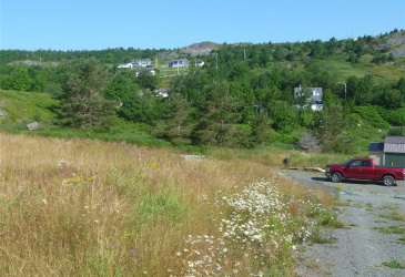 4 MEADOW ROAD, FRESHWATER, Newfoundland, Canada A1Y 1C6, ,1 BathroomBathrooms,Residential,For Sale,MEADOW ROAD,6370 4 MEADOW ROAD, FRESHWATER, Newfoundland, Canada A1Y 1C6, ,1 BathroomBathrooms,Residential,For Sale,MEADOW ROAD,6370
