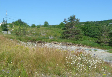 4 MEADOW ROAD, FRESHWATER, Newfoundland, Canada A1Y 1C6, ,1 BathroomBathrooms,Residential,For Sale,MEADOW ROAD,6370 4 MEADOW ROAD, FRESHWATER, Newfoundland, Canada A1Y 1C6, ,1 BathroomBathrooms,Residential,For Sale,MEADOW ROAD,6370