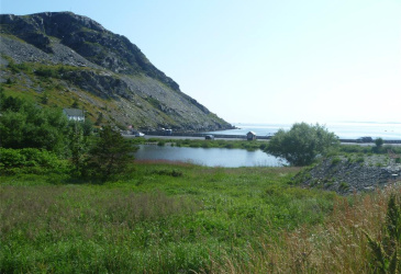 4 MEADOW ROAD, FRESHWATER, Newfoundland, Canada A1Y 1C6, ,1 BathroomBathrooms,Residential,For Sale,MEADOW ROAD,6370 4 MEADOW ROAD, FRESHWATER, Newfoundland, Canada A1Y 1C6, ,1 BathroomBathrooms,Residential,For Sale,MEADOW ROAD,6370