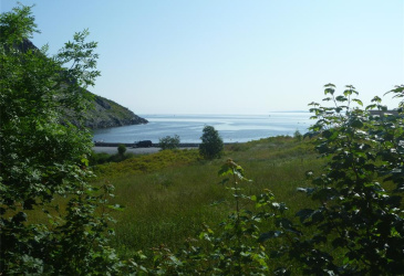 4 MEADOW ROAD, FRESHWATER, Newfoundland, Canada A1Y 1C6, ,1 BathroomBathrooms,Residential,For Sale,MEADOW ROAD,6370 4 MEADOW ROAD, FRESHWATER, Newfoundland, Canada A1Y 1C6, ,1 BathroomBathrooms,Residential,For Sale,MEADOW ROAD,6370