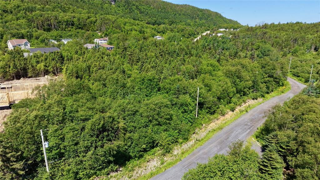 LOT 00 BEACH PATH ROAD, DEEP BIGHT, Newfoundland, Canada A0E 2B0, ,0,Land,For Sale,BEACH PATH ROAD,6405