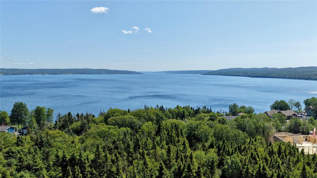 LOT 00 BEACH PATH ROAD, DEEP BIGHT, Newfoundland, Canada A0E 2B0, ,0,Land,For Sale,BEACH PATH ROAD,6405