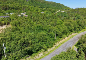 LOT 00 BEACH PATH ROAD, DEEP BIGHT, Newfoundland, Canada A0E 2B0, ,0,Land,For Sale,BEACH PATH ROAD,6405