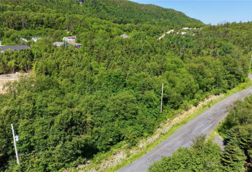 LOT 00 BEACH PATH ROAD, DEEP BIGHT, Newfoundland, Canada A0E 2B0, ,0,Land,For Sale,BEACH PATH ROAD,6405 LOT 00 BEACH PATH ROAD, DEEP BIGHT, Newfoundland, Canada A0E 2B0, ,0,Land,For Sale,BEACH PATH ROAD,6405