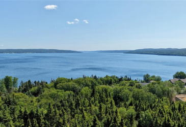 LOT 00 BEACH PATH ROAD, DEEP BIGHT, Newfoundland, Canada A0E 2B0, ,0,Land,For Sale,BEACH PATH ROAD,6405 LOT 00 BEACH PATH ROAD, DEEP BIGHT, Newfoundland, Canada A0E 2B0, ,0,Land,For Sale,BEACH PATH ROAD,6405