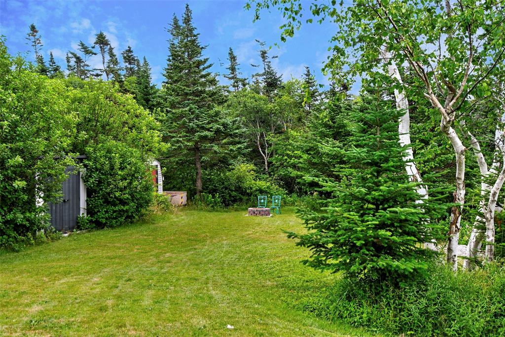 2 INGRIDS LAND, ROACHES LINE, Newfoundland, Canada A0A 1W0, ,2 BathroomsBathrooms,Residential,For Sale,INGRIDS LAND,6409