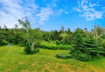 2 INGRIDS LAND, ROACHES LINE, Newfoundland, Canada A0A 1W0, ,2 BathroomsBathrooms,Residential,For Sale,INGRIDS LAND,6409 2 INGRIDS LAND, ROACHES LINE, Newfoundland, Canada A0A 1W0, ,2 BathroomsBathrooms,Residential,For Sale,INGRIDS LAND,6409