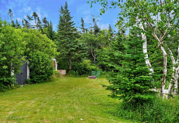 2 INGRIDS LAND, ROACHES LINE, Newfoundland, Canada A0A 1W0, ,2 BathroomsBathrooms,Residential,For Sale,INGRIDS LAND,6409 2 INGRIDS LAND, ROACHES LINE, Newfoundland, Canada A0A 1W0, ,2 BathroomsBathrooms,Residential,For Sale,INGRIDS LAND,6409