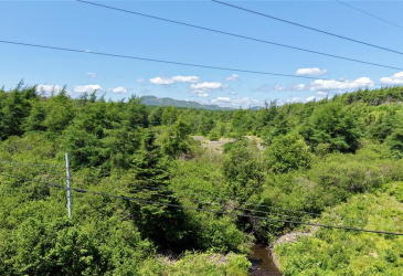 33 MAIN STREET, SUNNYSIDE, Newfoundland, Canada A0B 3J0, ,0,Residential,For Sale,MAIN STREET,6433