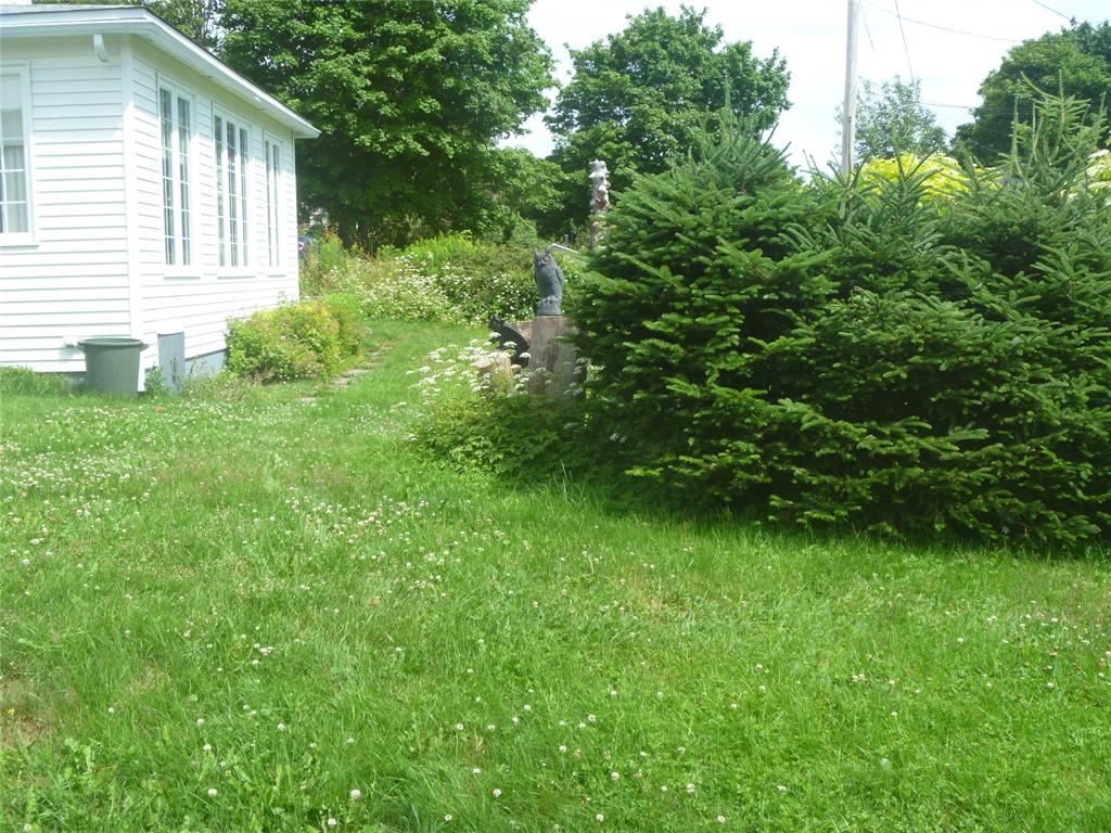 16 MUSGRAVE STREET, CARBONEAR, Newfoundland, Canada A1Y 1B6, ,1 BathroomBathrooms,Residential,Sale Pending,MUSGRAVE STREET,6441