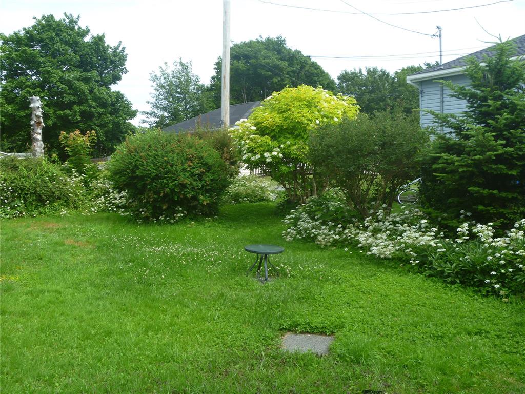 16 MUSGRAVE STREET, CARBONEAR, Newfoundland, Canada A1Y 1B6, ,1 BathroomBathrooms,Residential,Sale Pending,MUSGRAVE STREET,6441