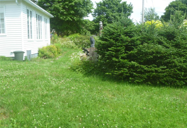 16 MUSGRAVE STREET, CARBONEAR, Newfoundland, Canada A1Y 1B6, ,1 BathroomBathrooms,Residential,For Sale,MUSGRAVE STREET,6441 16 MUSGRAVE STREET, CARBONEAR, Newfoundland, Canada A1Y 1B6, ,1 BathroomBathrooms,Residential,For Sale,MUSGRAVE STREET,6441