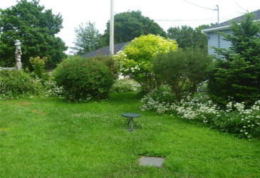 16 MUSGRAVE STREET, CARBONEAR, Newfoundland, Canada A1Y 1B6, ,1 BathroomBathrooms,Residential,For Sale,MUSGRAVE STREET,6441 16 MUSGRAVE STREET, CARBONEAR, Newfoundland, Canada A1Y 1B6, ,1 BathroomBathrooms,Residential,For Sale,MUSGRAVE STREET,6441