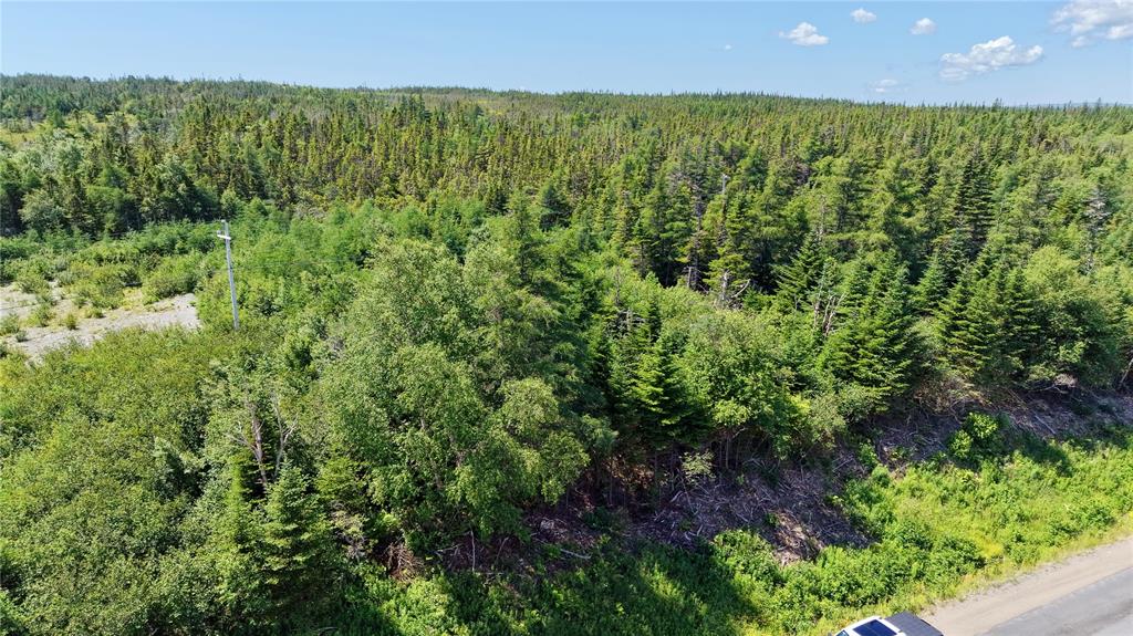 80 MAIN ROAD, QUEEN'S COVE, Newfoundland, Canada A0E 2B0, ,0,Residential,For Sale,MAIN ROAD,6464