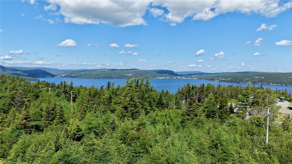 80 MAIN ROAD, QUEEN'S COVE, Newfoundland, Canada A0E 2B0, ,0,Residential,For Sale,MAIN ROAD,6464