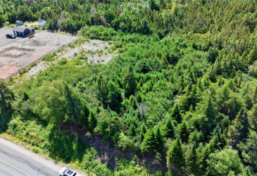 80 MAIN ROAD, QUEEN'S COVE, Newfoundland, Canada A0E 2B0, ,0,Residential,For Sale,MAIN ROAD,6464 80 MAIN ROAD, QUEEN'S COVE, Newfoundland, Canada A0E 2B0, ,0,Residential,For Sale,MAIN ROAD,6464