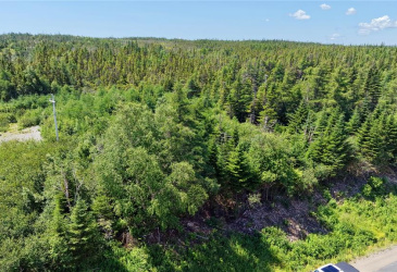 80 MAIN ROAD, QUEEN'S COVE, Newfoundland, Canada A0E 2B0, ,0,Residential,For Sale,MAIN ROAD,6464 80 MAIN ROAD, QUEEN'S COVE, Newfoundland, Canada A0E 2B0, ,0,Residential,For Sale,MAIN ROAD,6464