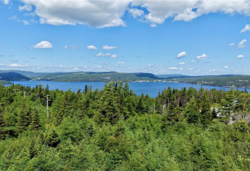 80 MAIN ROAD, QUEEN'S COVE, Newfoundland, Canada A0E 2B0, ,0,Residential,For Sale,MAIN ROAD,6464 80 MAIN ROAD, QUEEN'S COVE, Newfoundland, Canada A0E 2B0, ,0,Residential,For Sale,MAIN ROAD,6464