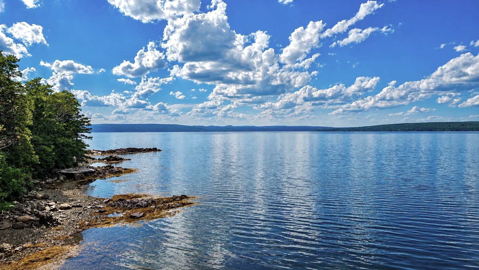 0 BUNYAN'S COVE ROAD, PORT BLANDFORD, Newfoundland, Canada A0C 2G0, ,0,Land,For Sale,BUNYAN'S COVE ROAD,6483