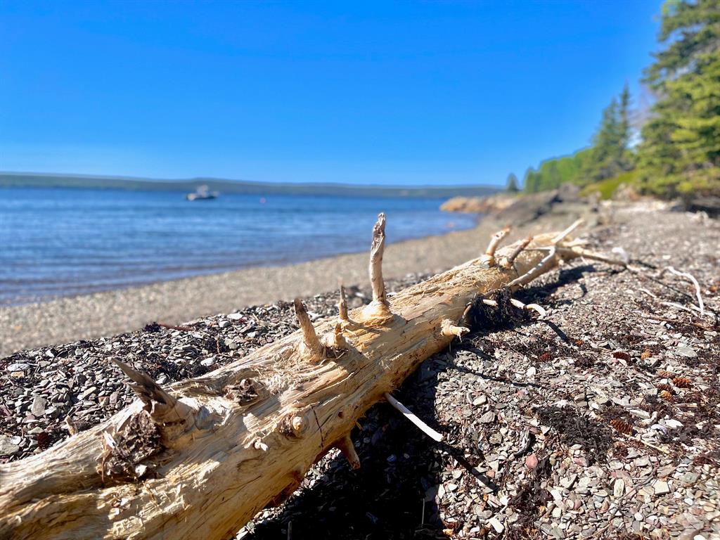 0 BUNYAN'S COVE ROAD, PORT BLANDFORD, Newfoundland, Canada A0C 2G0, ,0,Land,For Sale,BUNYAN'S COVE ROAD,6483