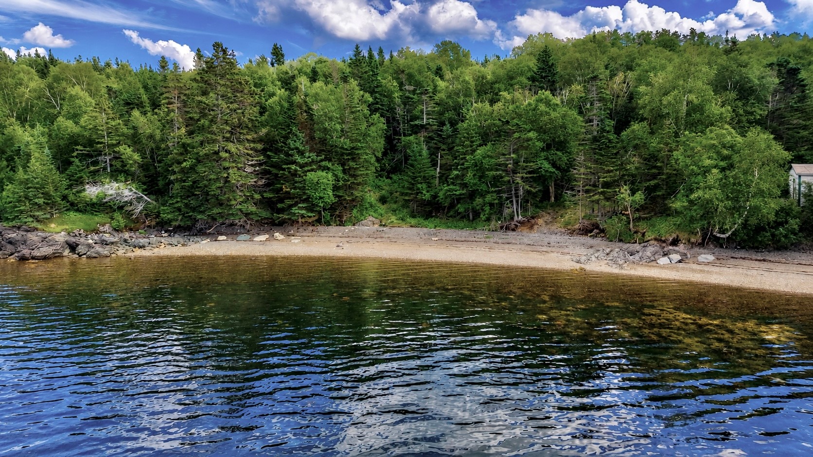 0 BUNYAN'S COVE ROAD, PORT BLANDFORD, Newfoundland, Canada A0C 2G0, ,0,Land,For Sale,BUNYAN'S COVE ROAD,6483